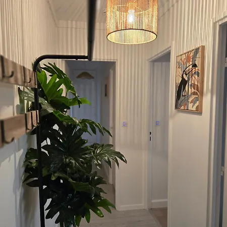 F3 شقة بوفيه